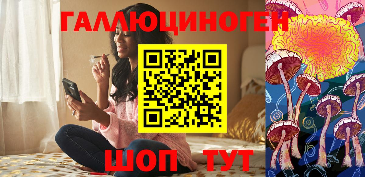Гай  Псилоцибиновые грибы Magic Shrooms  Вход с VPN 