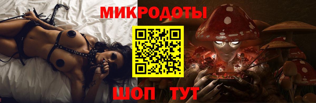 Галлюциногенные грибы Psilocybine cubensis Гай